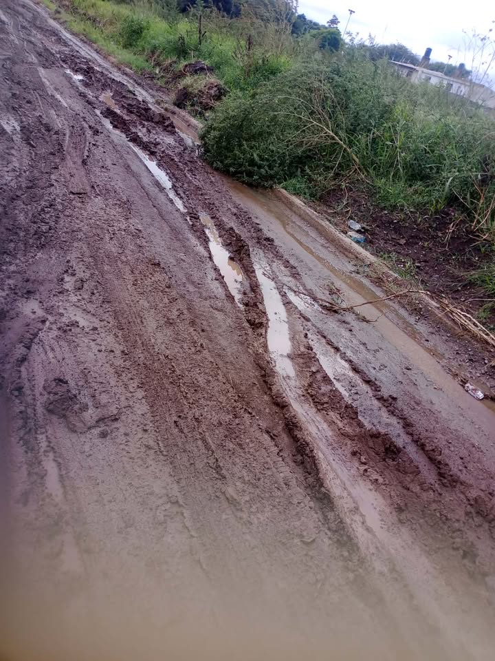 Reclamo vecinal por el estado de la calle Juan José Paso